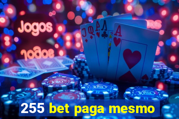 255 bet paga mesmo